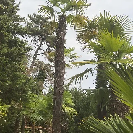 Appartement Splendid View *