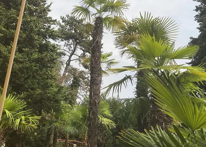 Apartment Splendid View *