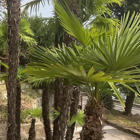 Splendid View Apartment Opatija