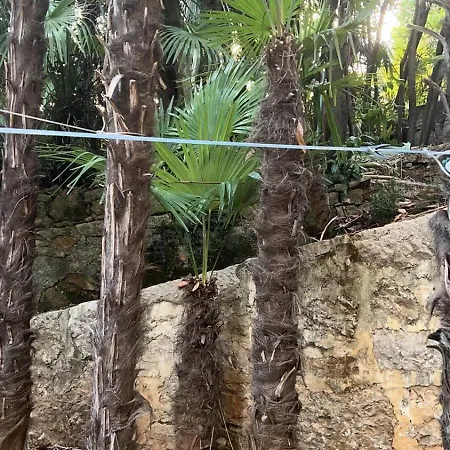 Splendid View Apartment