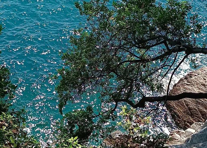 شقة Splendid View *