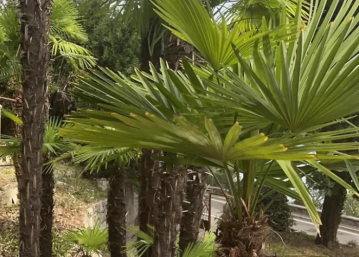 Splendid View Appartement Opatija