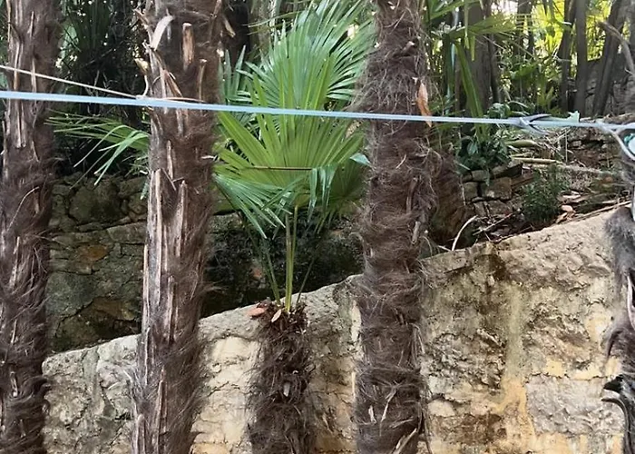 Splendid View Appartement