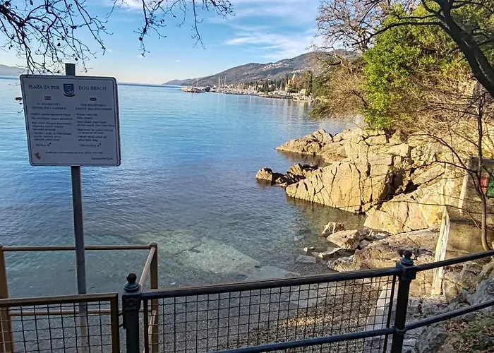 Splendid View Appartement