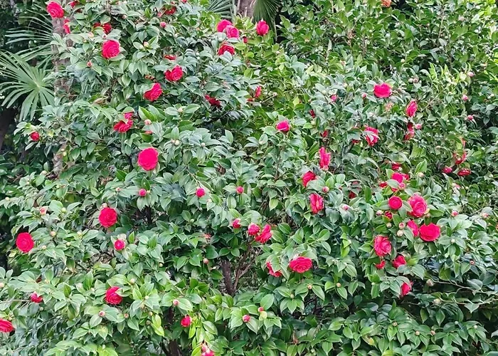 Splendid View Appartement